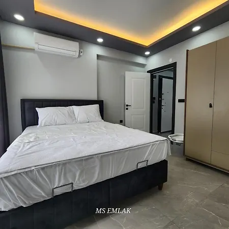 Blue Hause A4 *